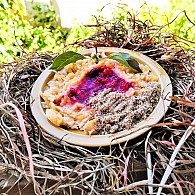 Tortilhas divertidas e simples