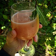 Tofulhau com natas e crosta de broa no forno